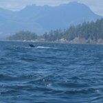 Restaurant La Canebiere