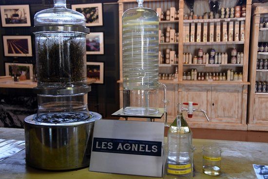 Les Agnels Distillerie de Lavande