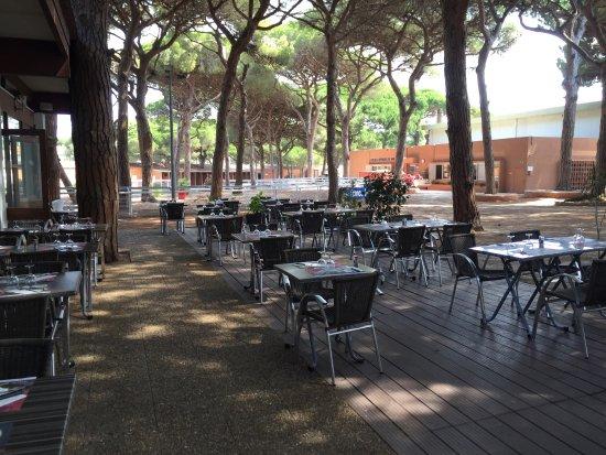 Hippodrome Le Driver