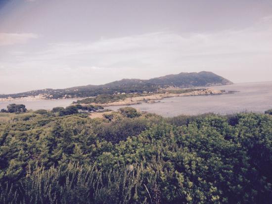 Institut Océanographique Paul Ricard