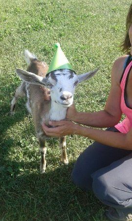 Les Fermiers en Herbe