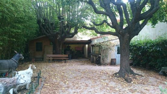 Musée d'Histoire Locale et des Traditions