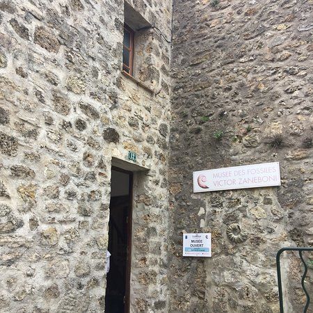 Musée Municipal des fossiles V.Zaneboni