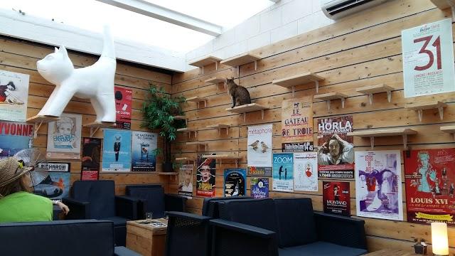 La compagnie des chats