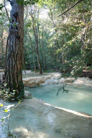 les sources de l'Huveaune