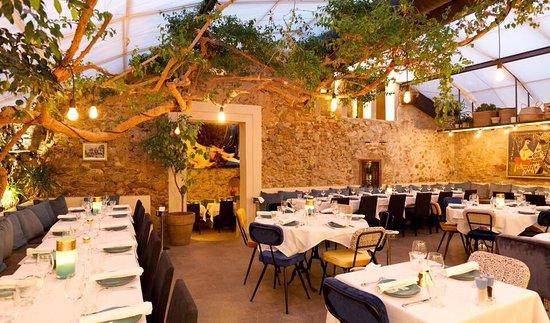 Napoleon Saint-Tropez