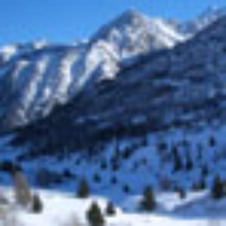 Le Chalet des Marmottes