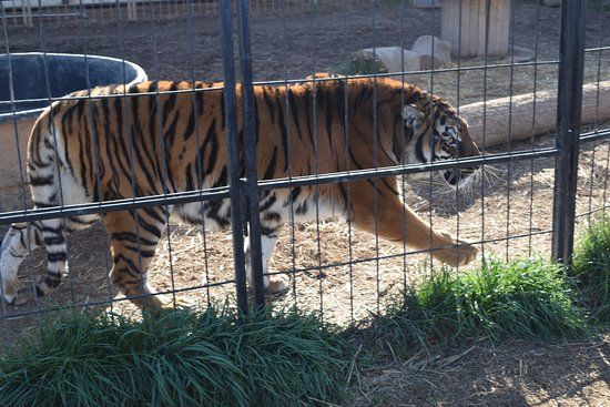 Parc Animalier De La Sainte Victoire