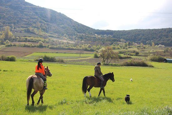 Les Écuries du Lou Blanc