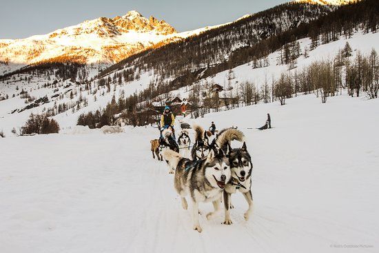 Azak Mushing