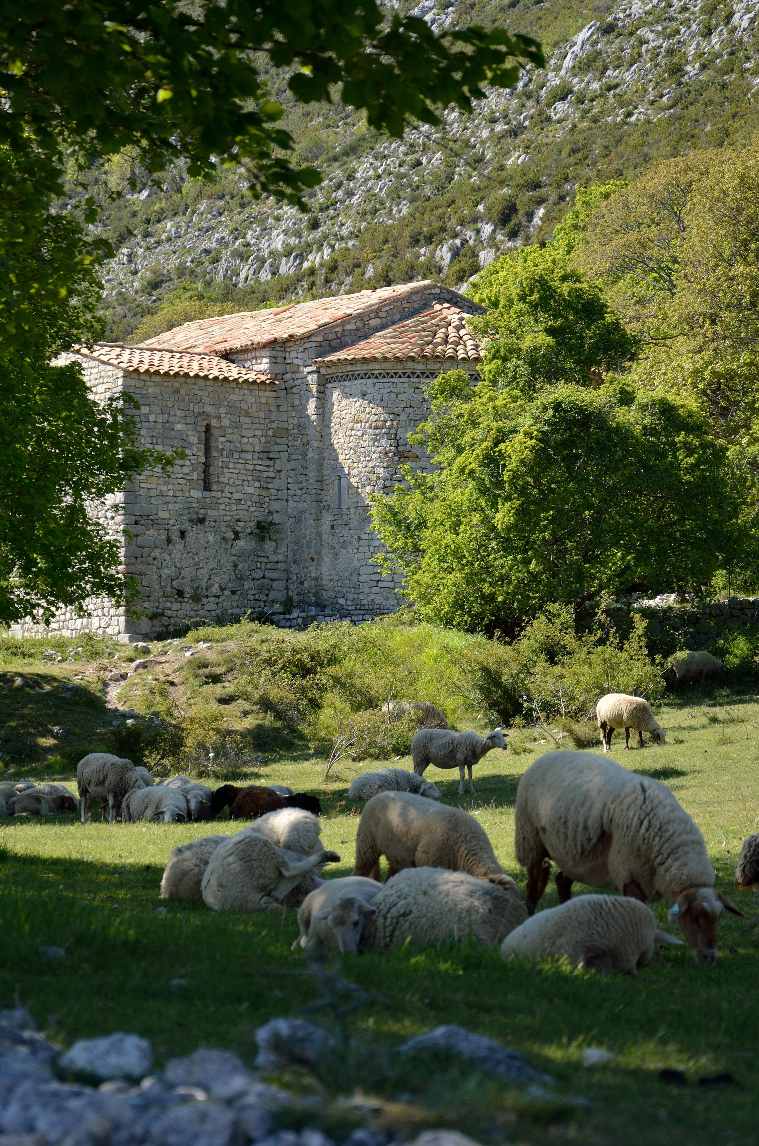 chapelle Saint-Michel de Coursegoules
