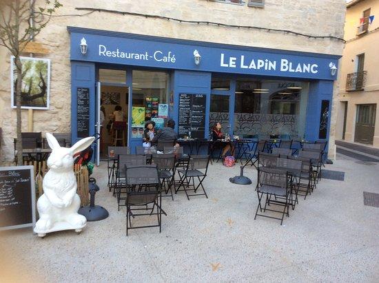 Le Lapin Blanc