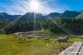 lac de Sainte-Marguerite