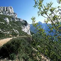 Forêt de Font Blanche