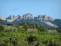 Dentelles de Montmirail
