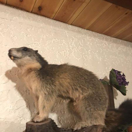 Restaurant la Feniere