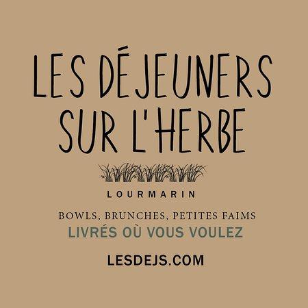 Les Dejeuners sur l'herbe