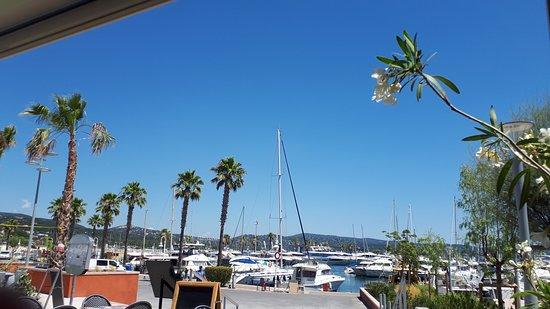 Restaurant IL DIVINO