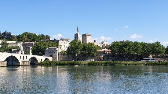 Ile de la Barthelasse