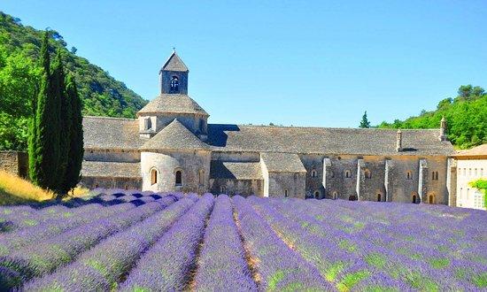 Abbaye Notre-Dame de Sénanque