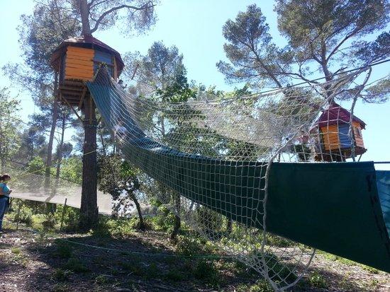 Le bois des lutins