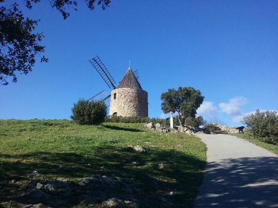 Moulin Saint Roch