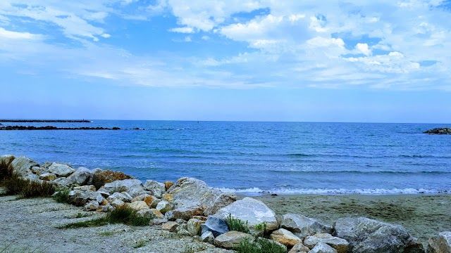 Parc naturel régional de Camargue