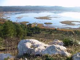 Foret Domaniale de Castillon