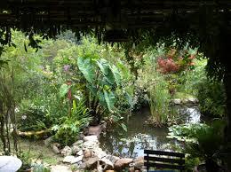 jardin du real jardin botanique